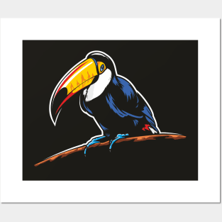 Toucan Posters and Art